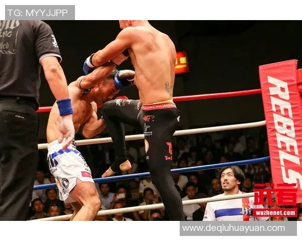 日菜太与安迪苏瓦的巅峰对决谁将赢得最终胜利与荣耀