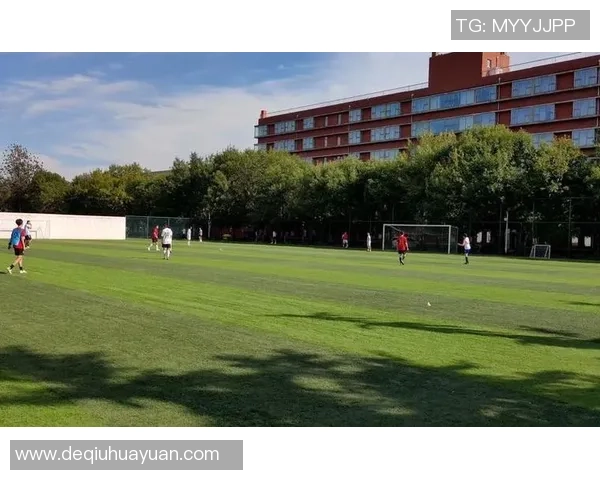 从零起步掌握足球配合技巧全方位指南与实战经验分享MBA 从零起步掌握足球配合技巧全方位指南与实战经验分享MBA