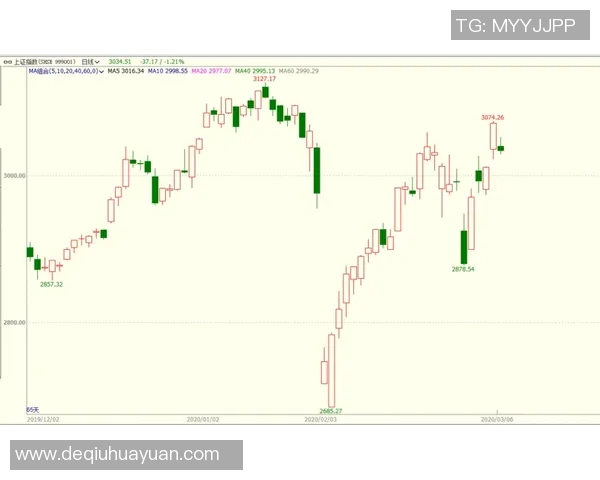 成都羽毛球队在世界锦标赛中的技术表现分析与点评