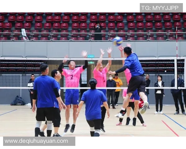 权威发布：2023年排球比赛各队实力与经验综合排名分析