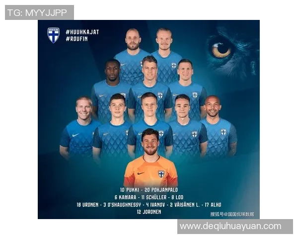 波黑与芬兰足球对决谁能在这场较量中胜出分析与预测