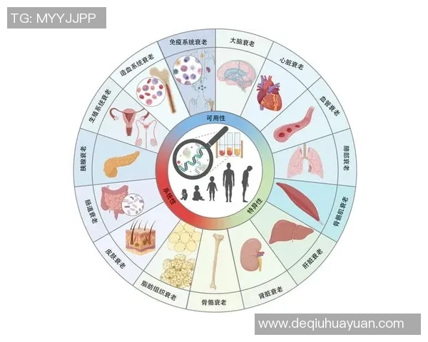 V5在冠军杯中的状态分析与表现评估全方位解读