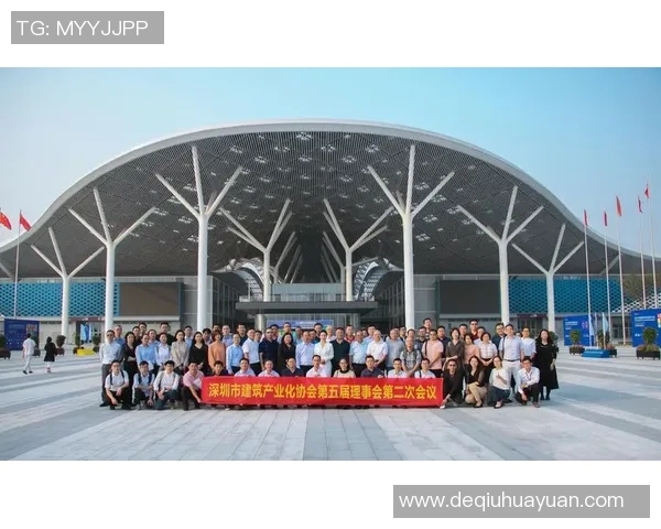 深圳飞盘队状态分析与未来发展展望探讨